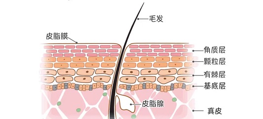 1651547719208451.jpg 微信图片_20220503110704.jpg